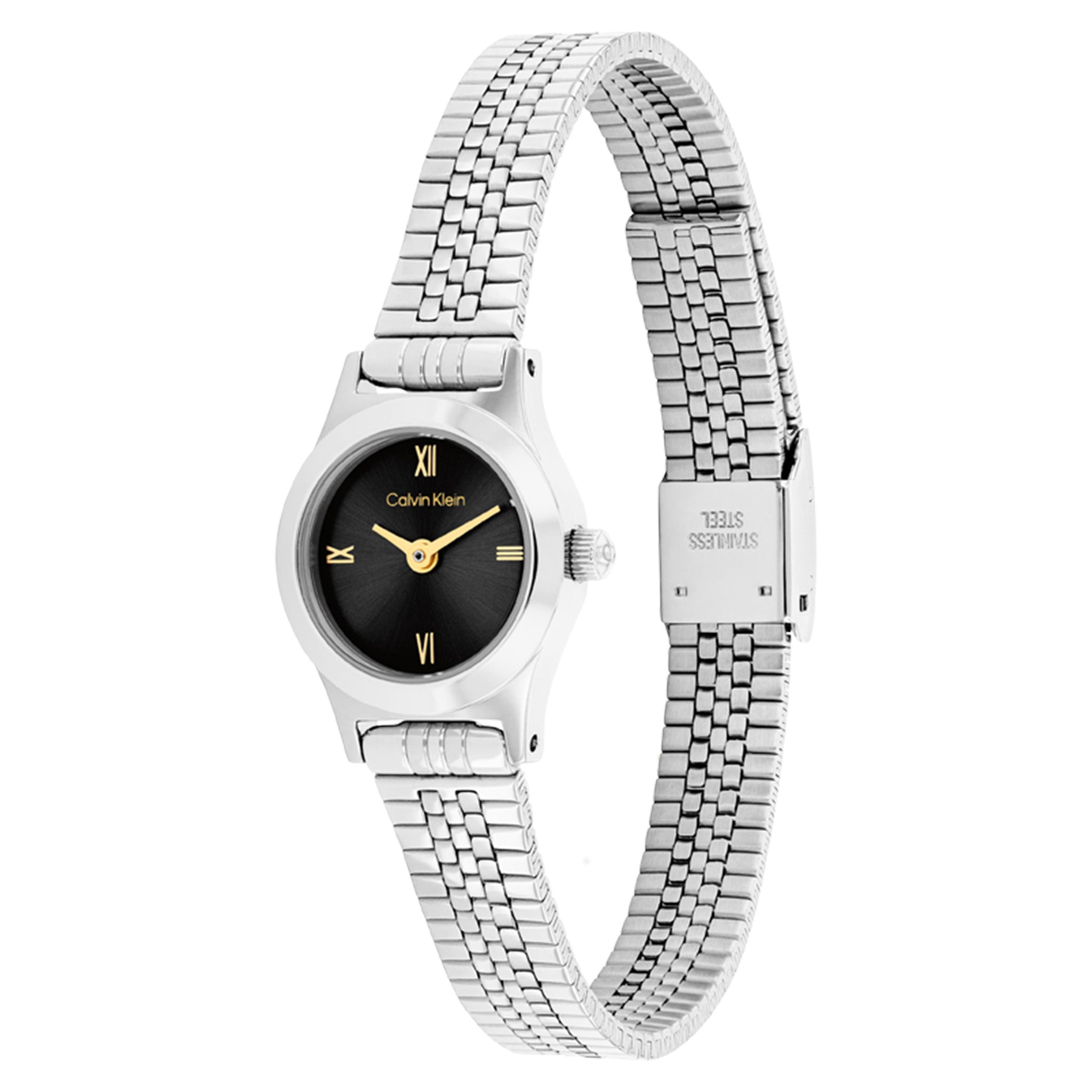 Calvin Klein Silver Steel Black Dial Women's Watch - 25100200