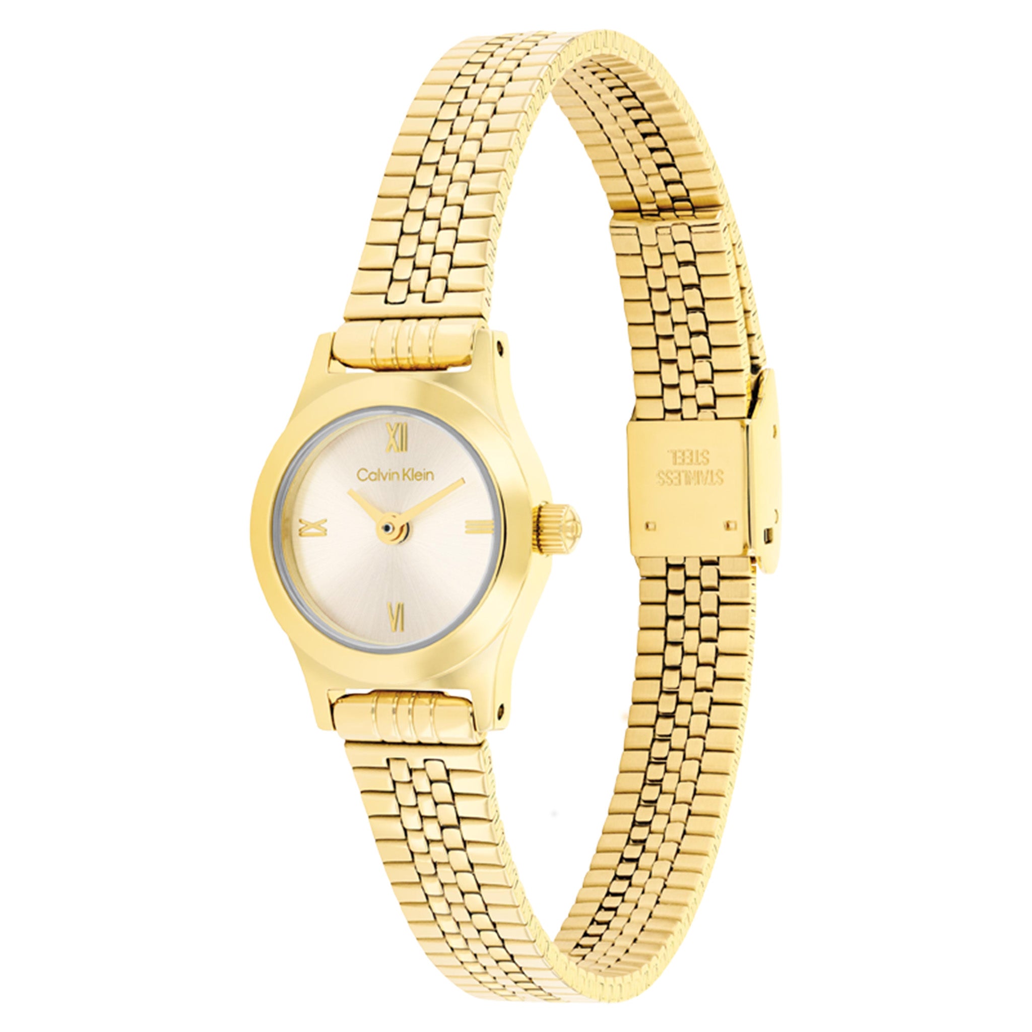Calvin Klein Gold Steel Light Gold Dial Women's Watch - 25100201