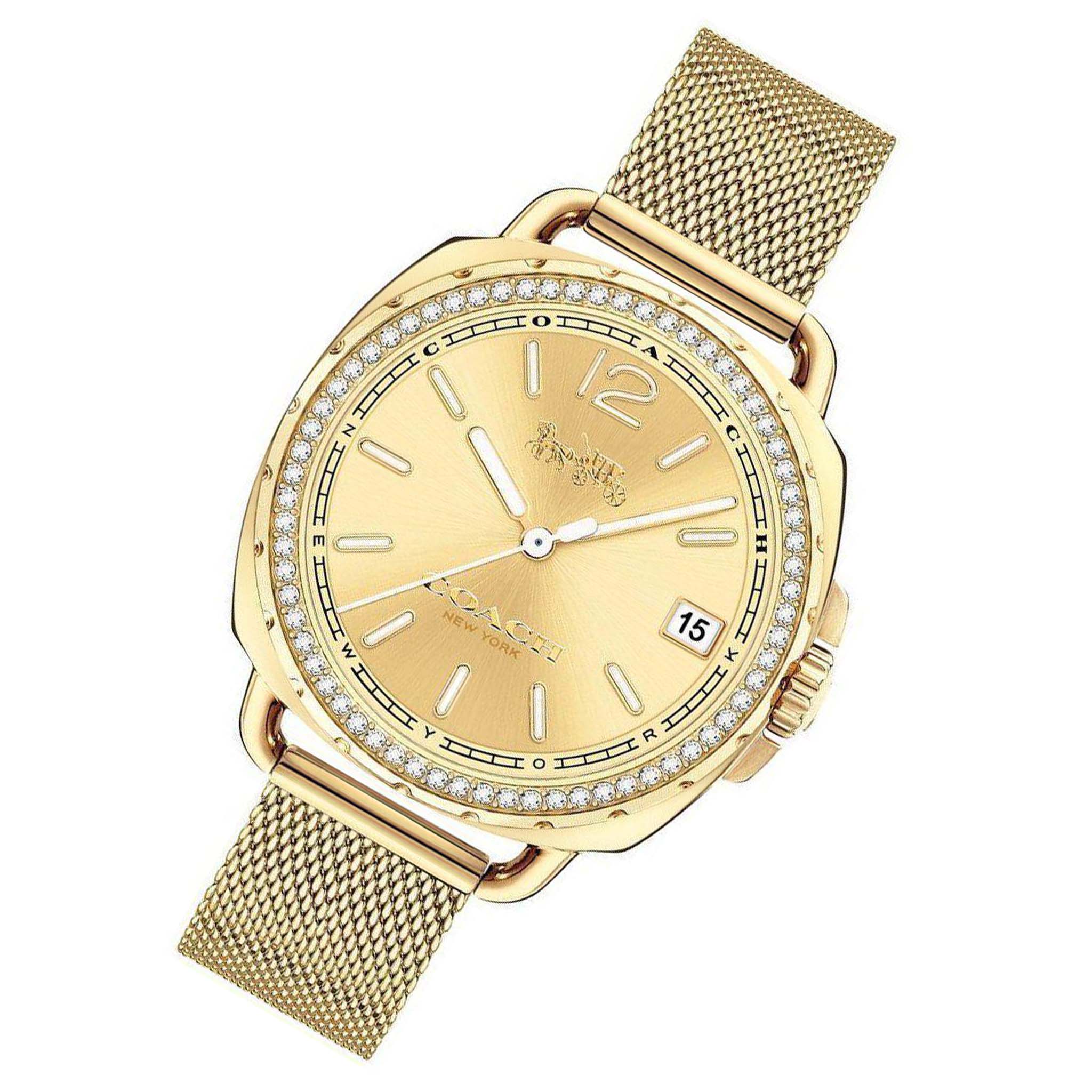 Coach Tatum Mesh Ladies Watch - 14502756