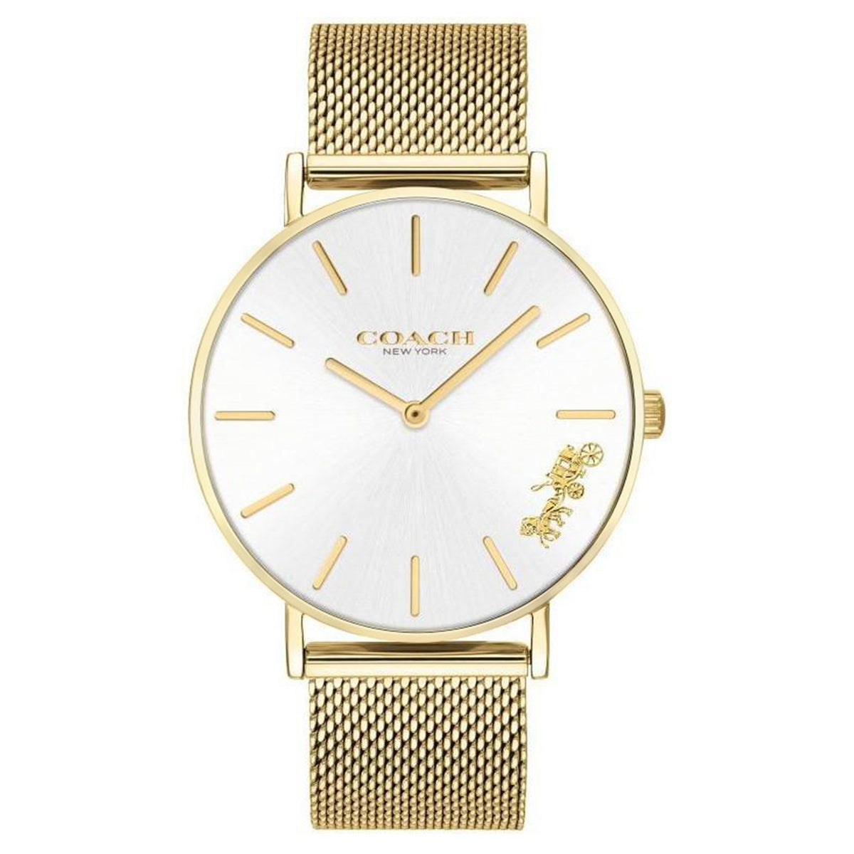 Coach Gold Mesh Ladies Watch - 14503125