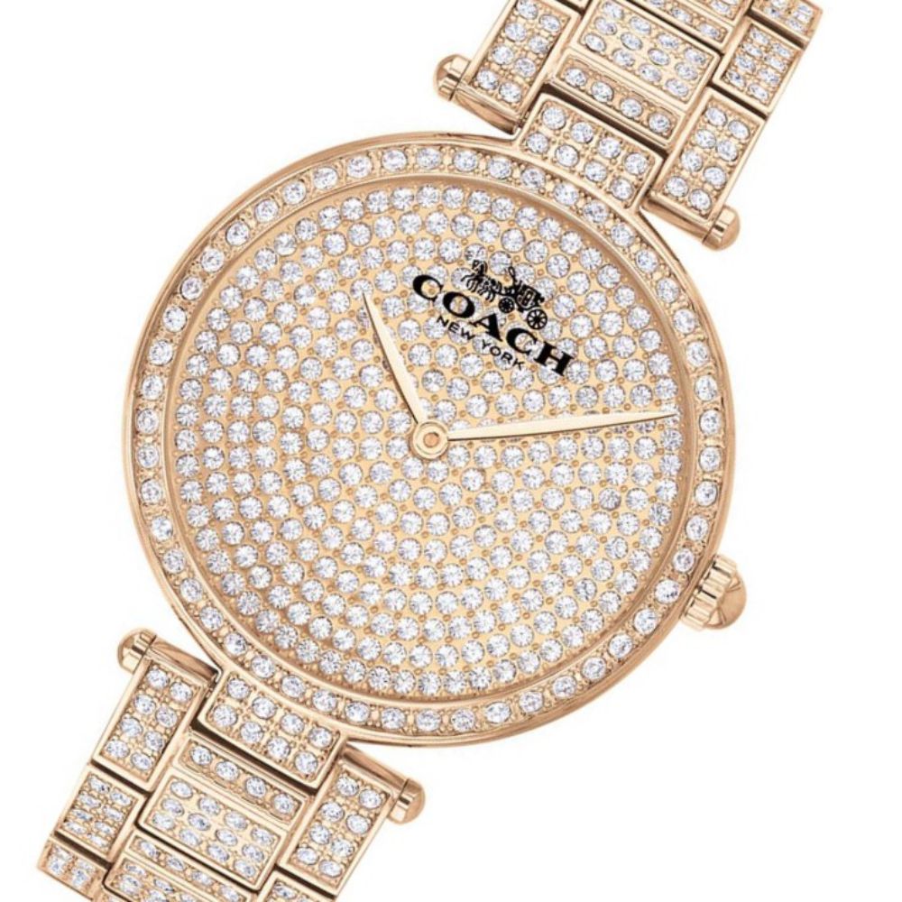 Coach Park Carnation Gold Steel with Crystals Women's Watch - 14503428