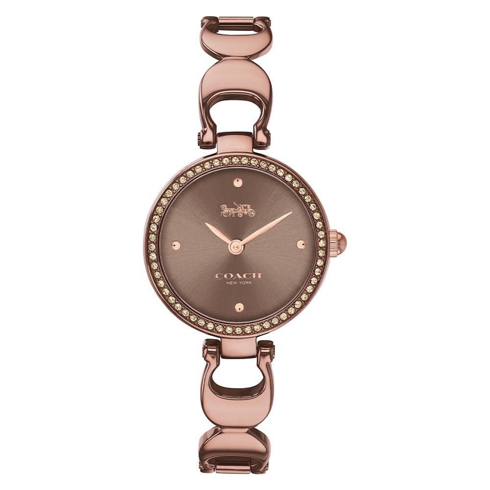 Coach Park Brown Steel Bracelet Ladies Watch - 14503563