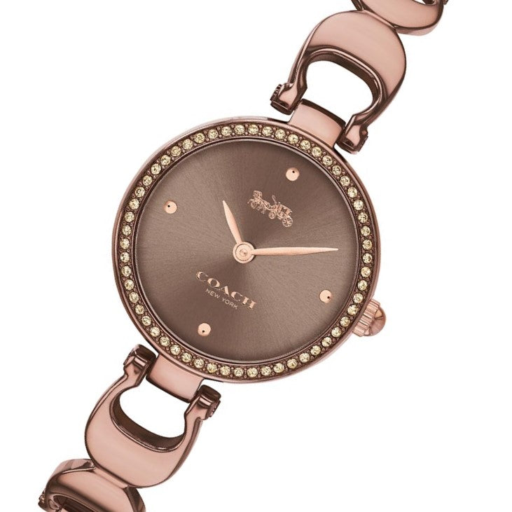 Coach Park Brown Steel Bracelet Ladies Watch - 14503563