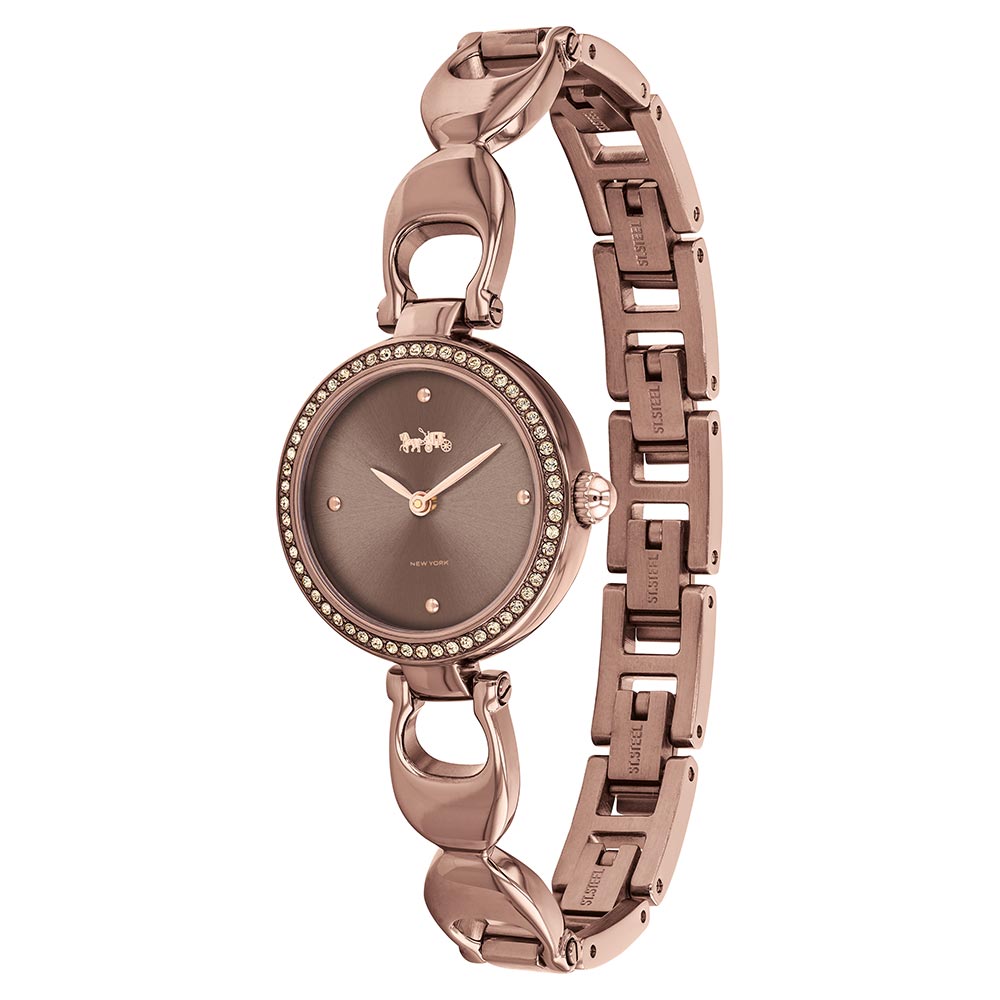Coach Park Brown Steel Bracelet Ladies Watch - 14503563