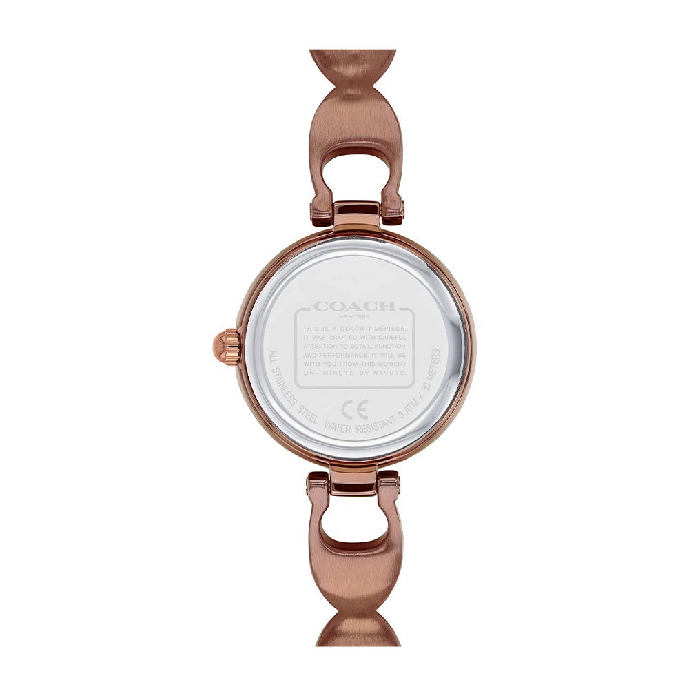 Coach Park Brown Steel Bracelet Ladies Watch - 14503563
