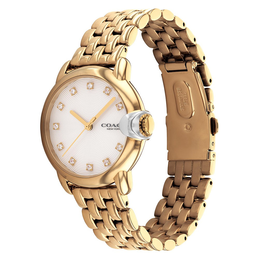 Coach Arden Gold Steel White Dial Women's Watch - 14503819