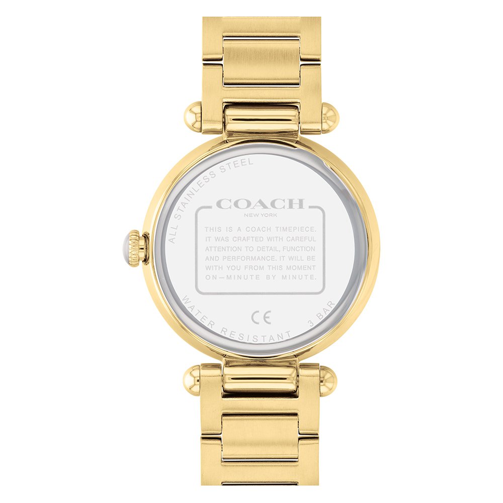 Coach Cary Gold Steel with Crystals Silver Dial Women's Watch - 14503832