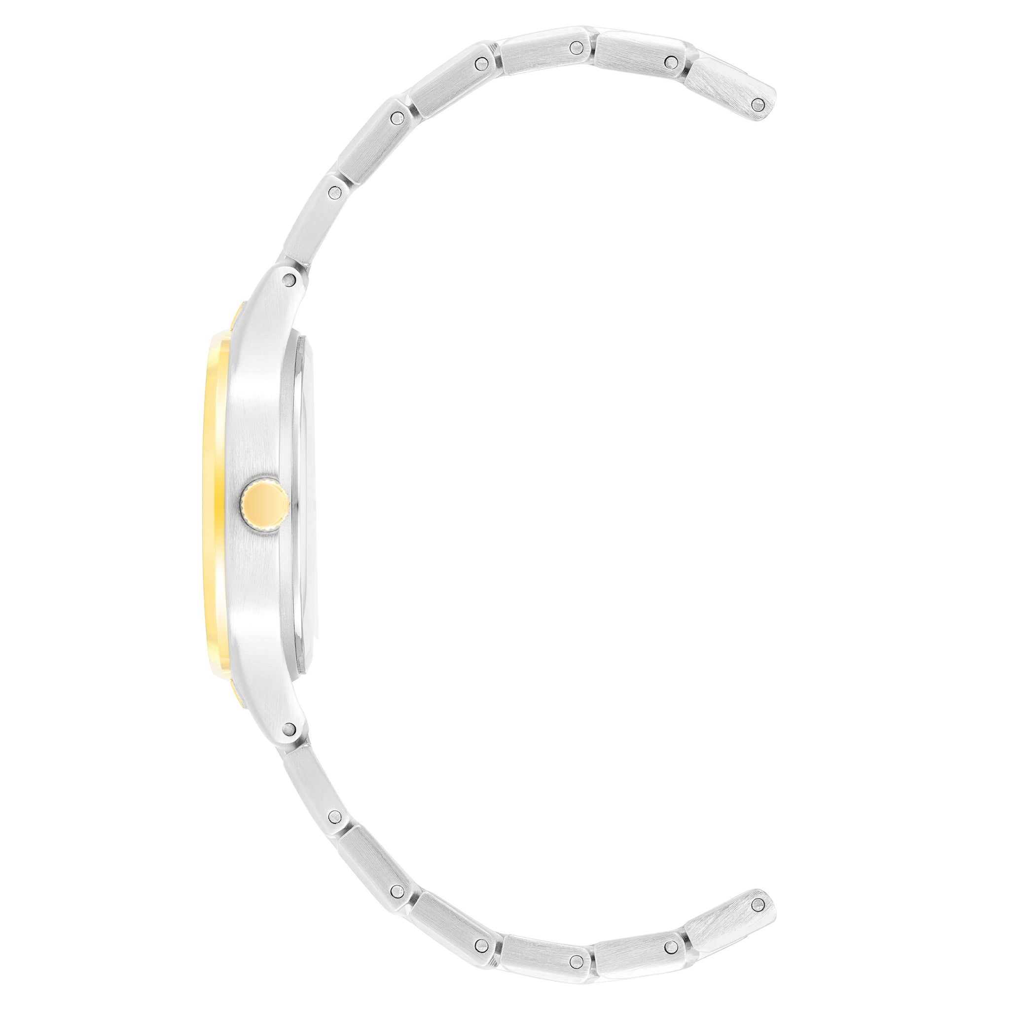 Anne Klein Two-Tone Band Silver Dial Women's Watch - AK4061SVTT