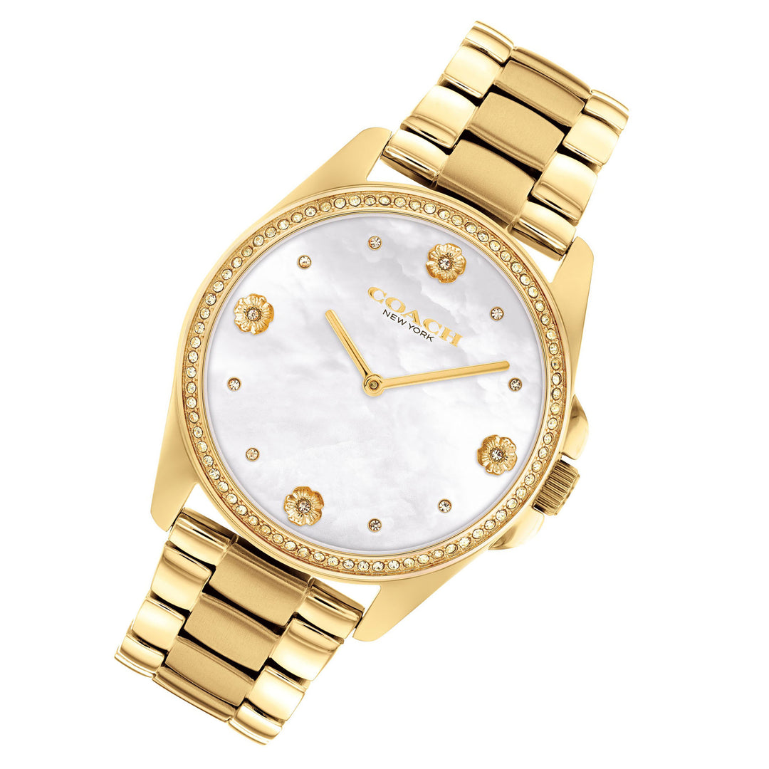 Coach Gold Steel White Mother of Pearl & Stone Dial Women's Watch - 14504109