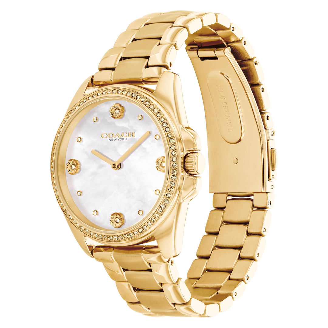 Coach Gold Steel White Mother of Pearl & Stone Dial Women's Watch - 14504109