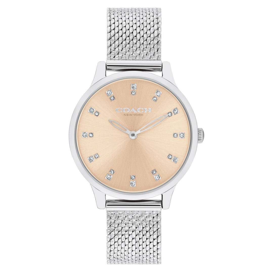 Coach Silver Steel Mesh Carnation Gold Dial Women's Watch - 14504216