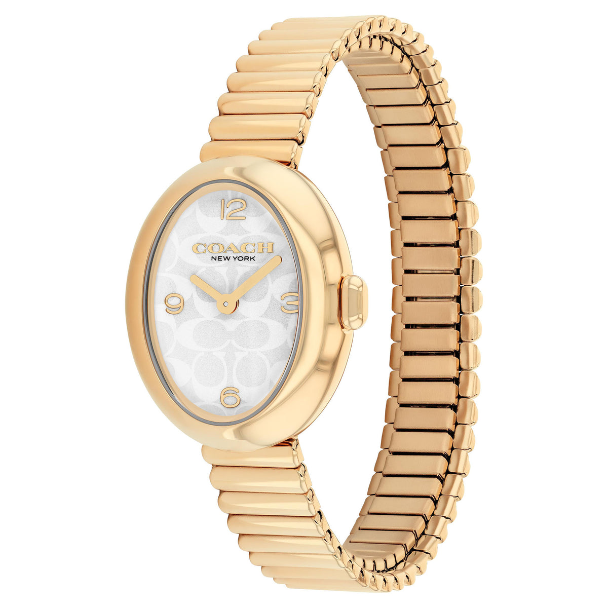 Coach Gold Steel Silver White Dial Women's Watch - 14504573