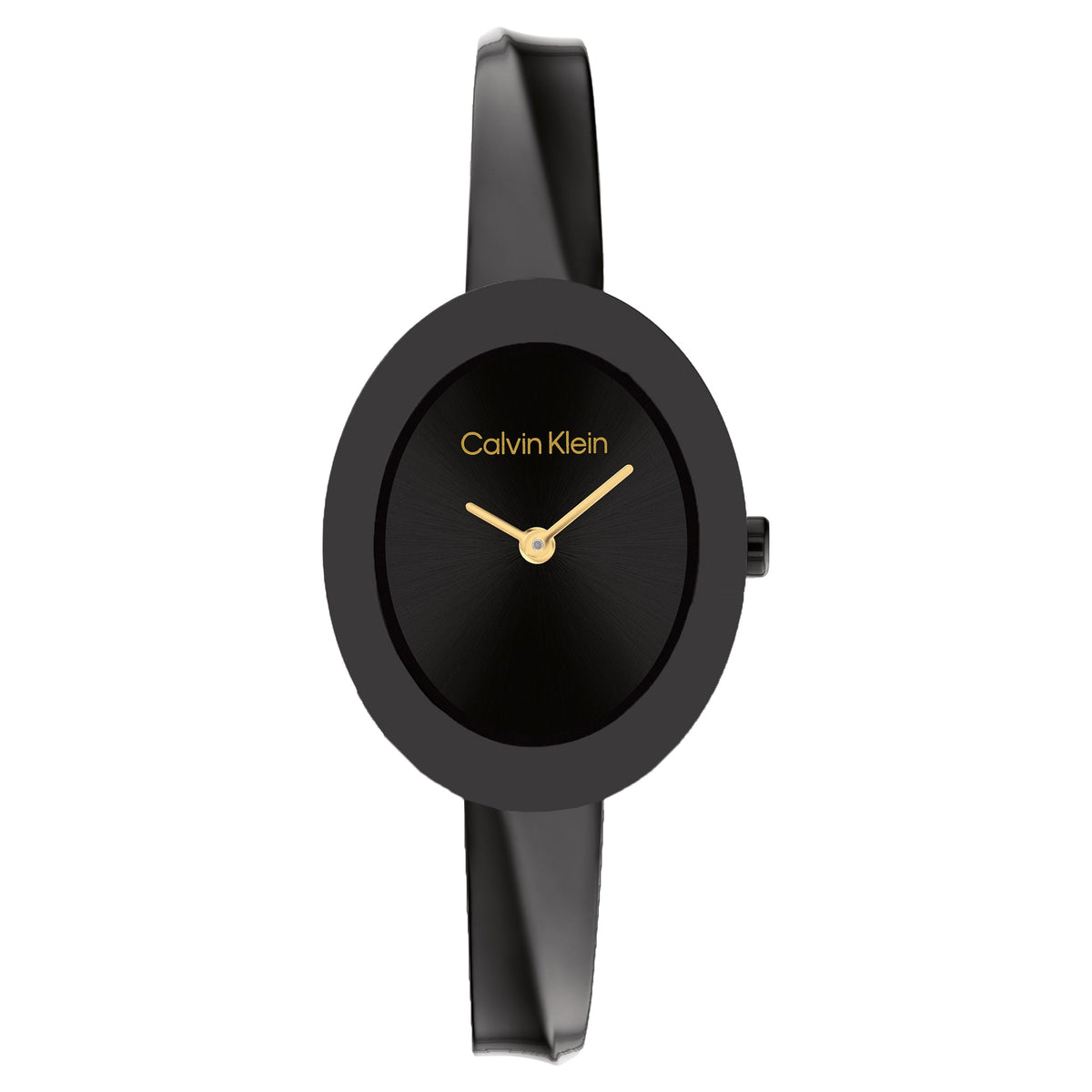 Calvin Klein Black Steel Bangle Women's Watch 25100112