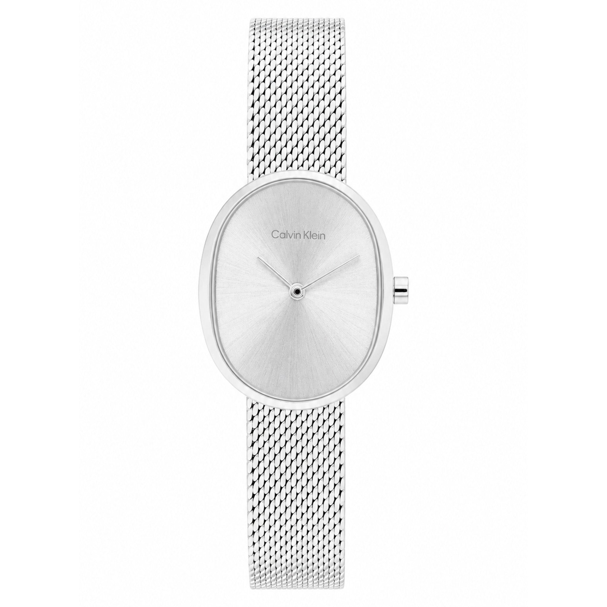 Calvin Klein Stainless Steel Mesh Silver Dial Women's Watch - 25100173