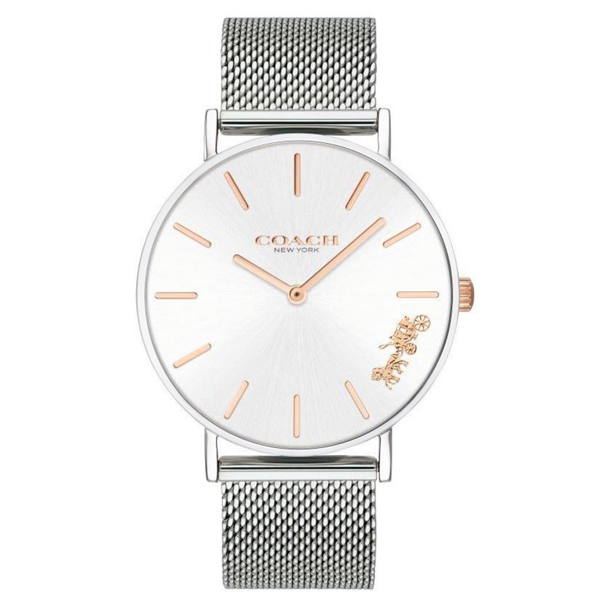 Coach Silver Mesh Ladies Watch - 14503124