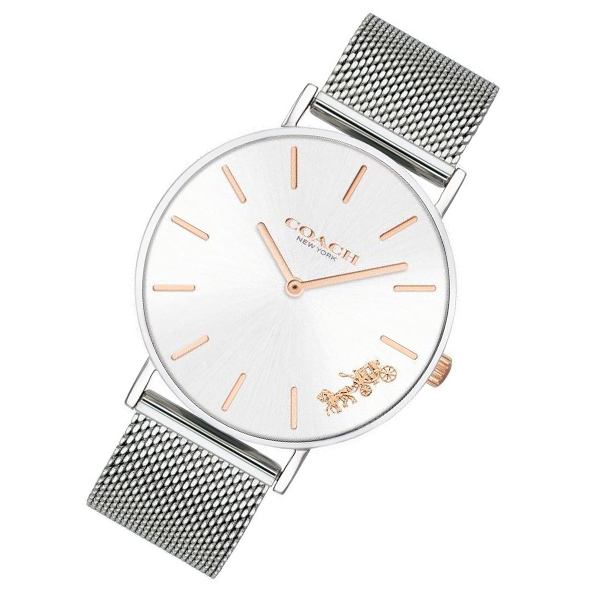 Coach Silver Mesh Ladies Watch - 14503124