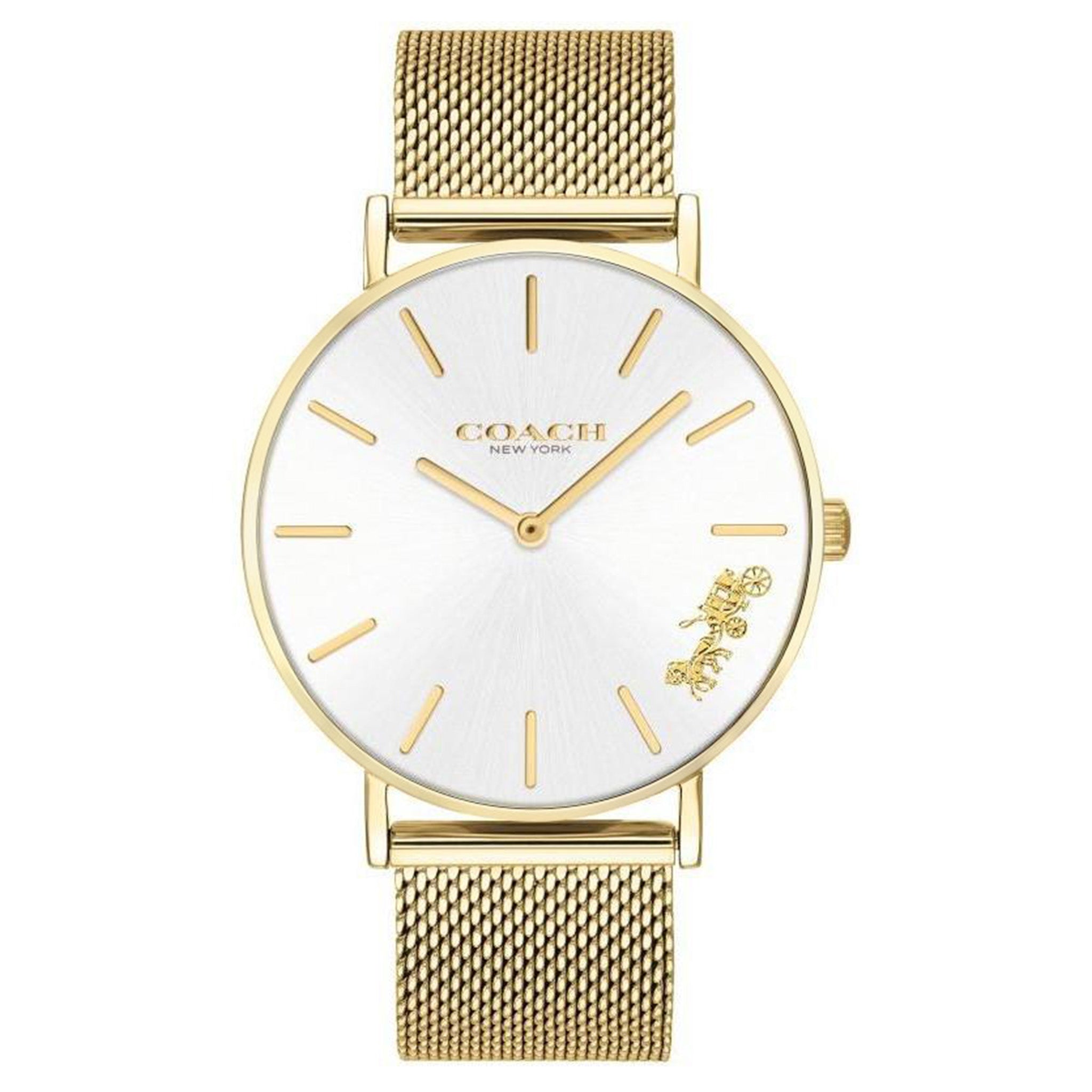 Coach Gold Mesh Ladies Watch - 14503125