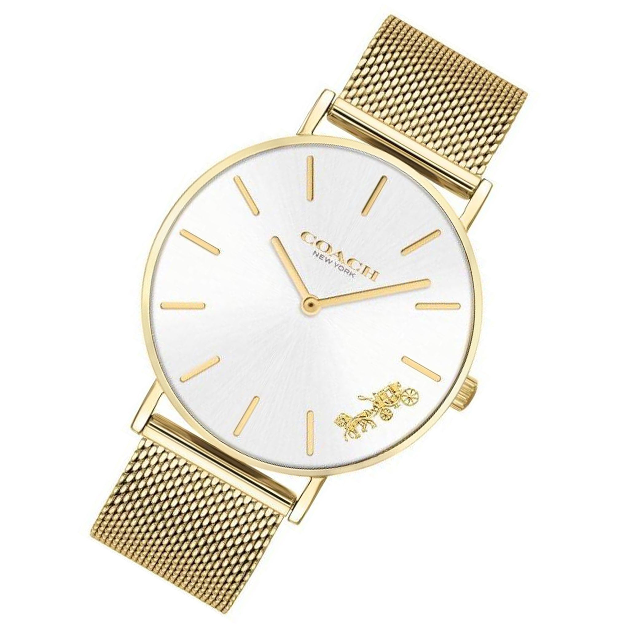 Coach Gold Mesh Ladies Watch - 14503125