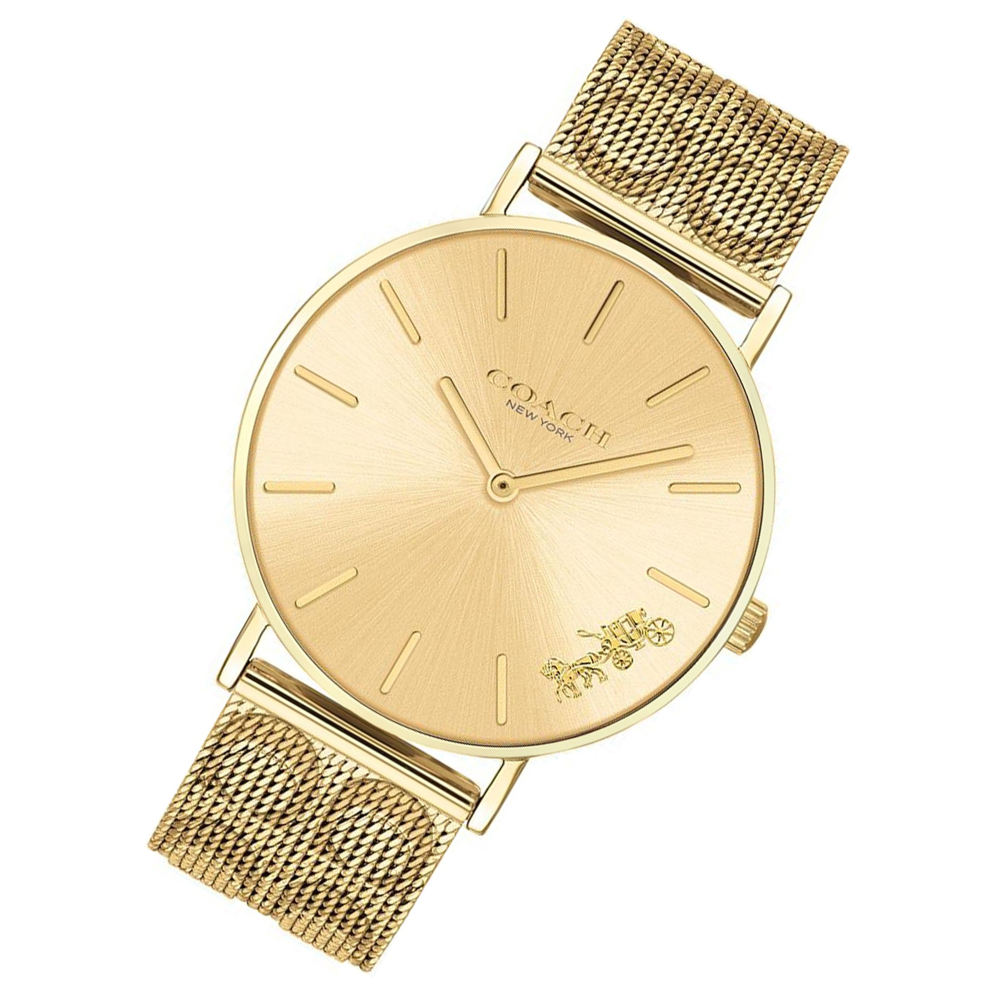 Coach Perry Gold Mesh Ladies Watch - 14503342