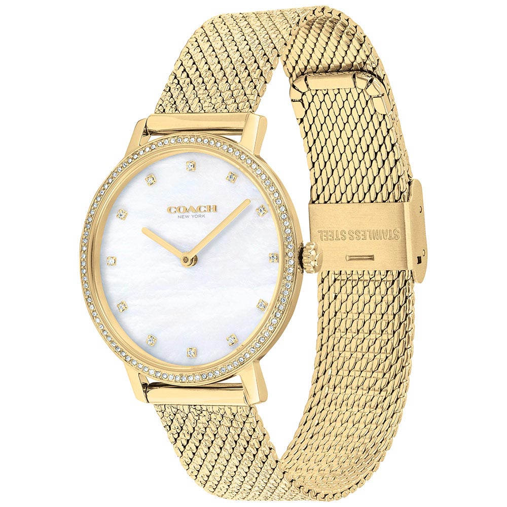 Coach Audrey Gold Mesh Ladies Slim Watch - 14503359