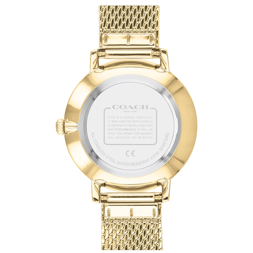 Coach Audrey Gold Mesh Ladies Slim Watch - 14503359