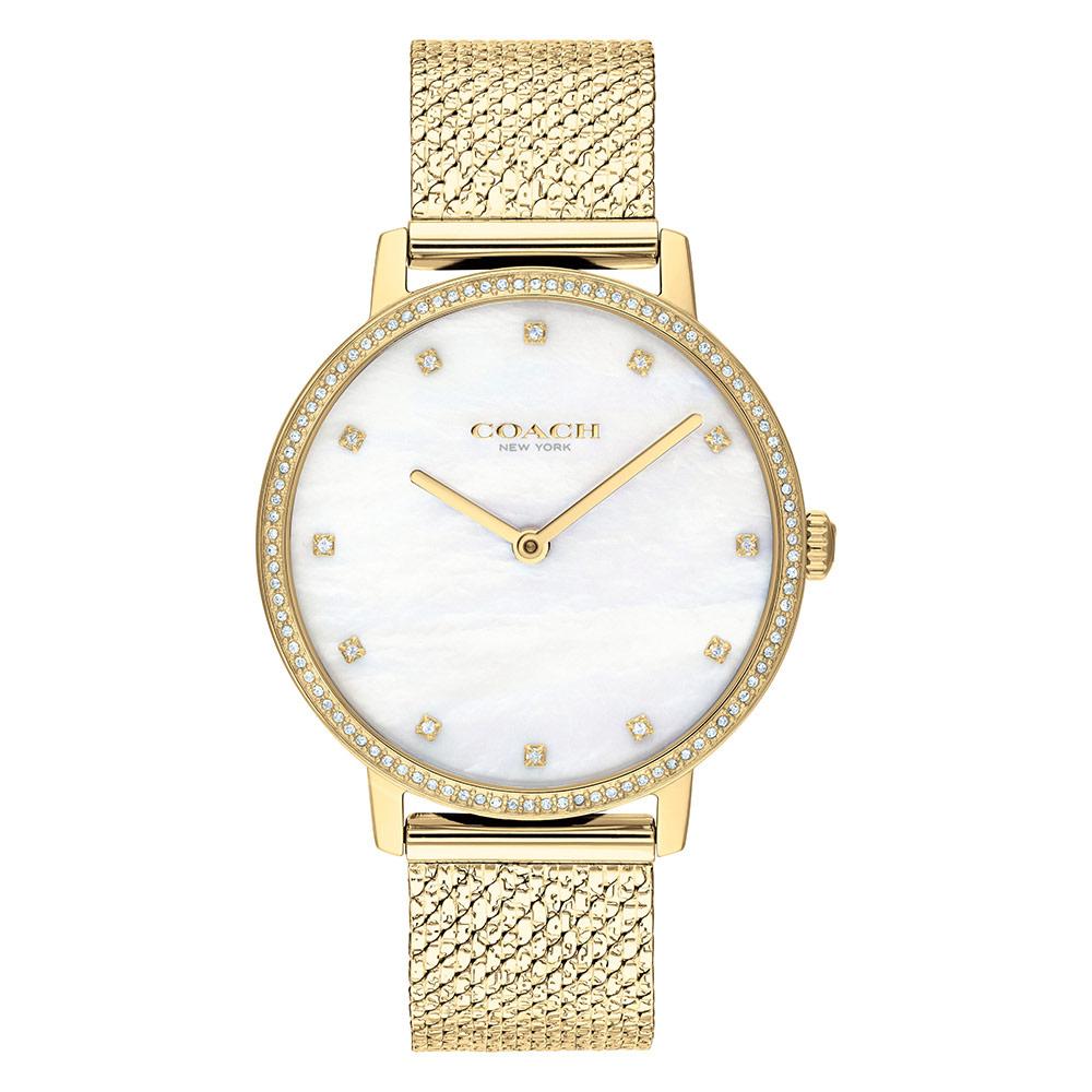 Coach Audrey Gold Mesh Ladies Slim Watch - 14503359