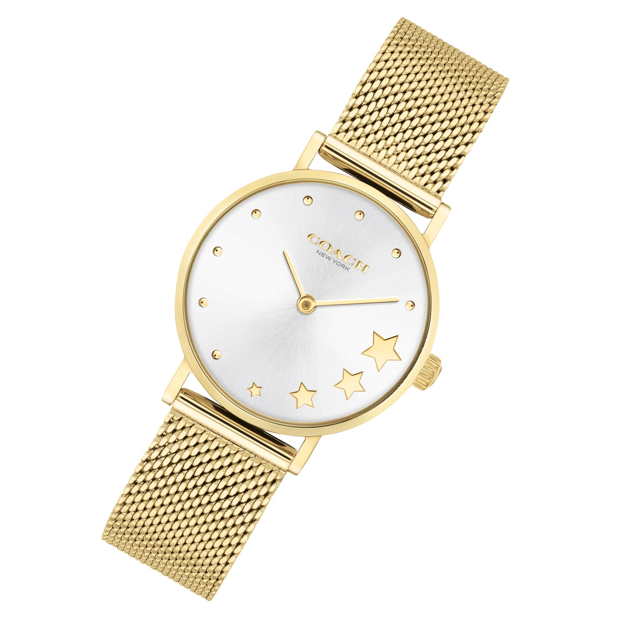 Coach Perry Gold Mesh Ladies Watch - 14503521