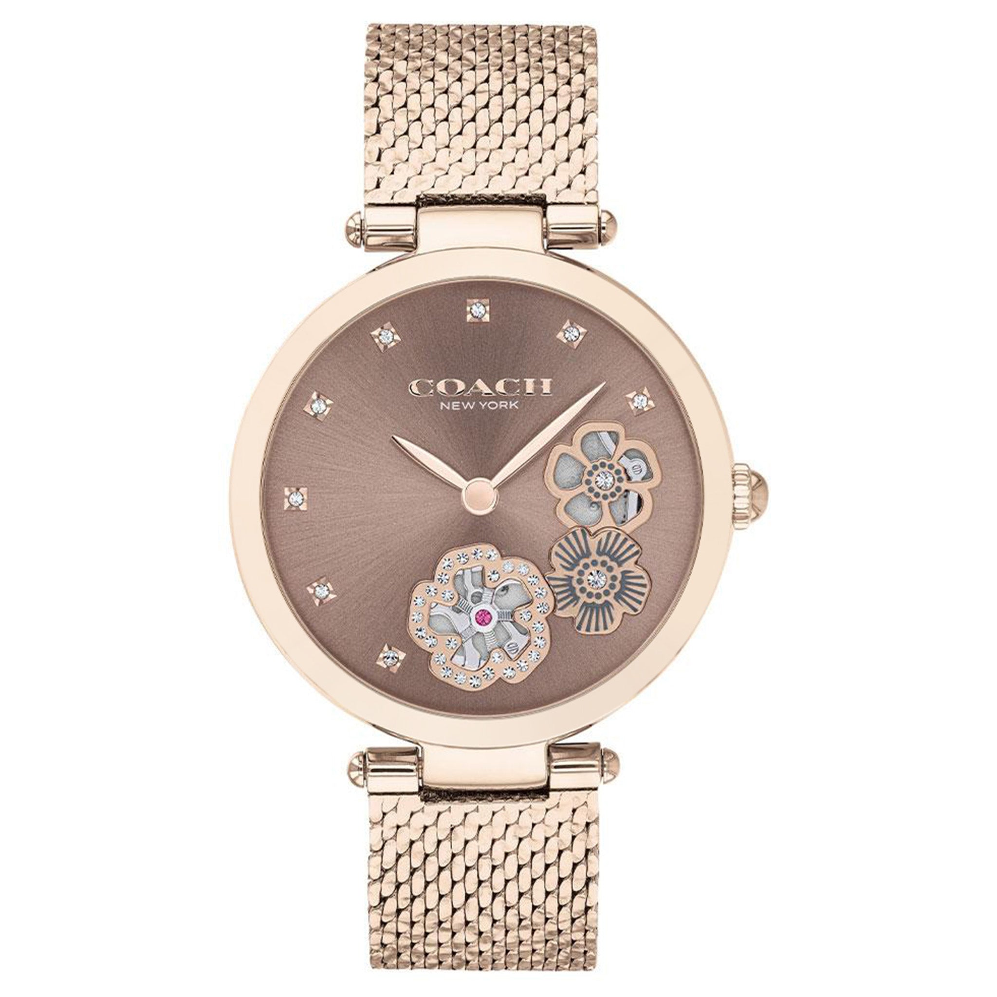 Coach Park Carnation Gold Mesh Ladies Multi-function Watch - 14503566