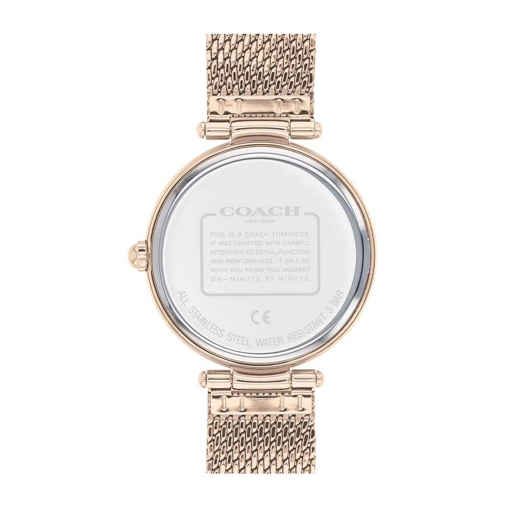 Coach Park Carnation Gold Mesh Ladies Multi-function Watch - 14503566