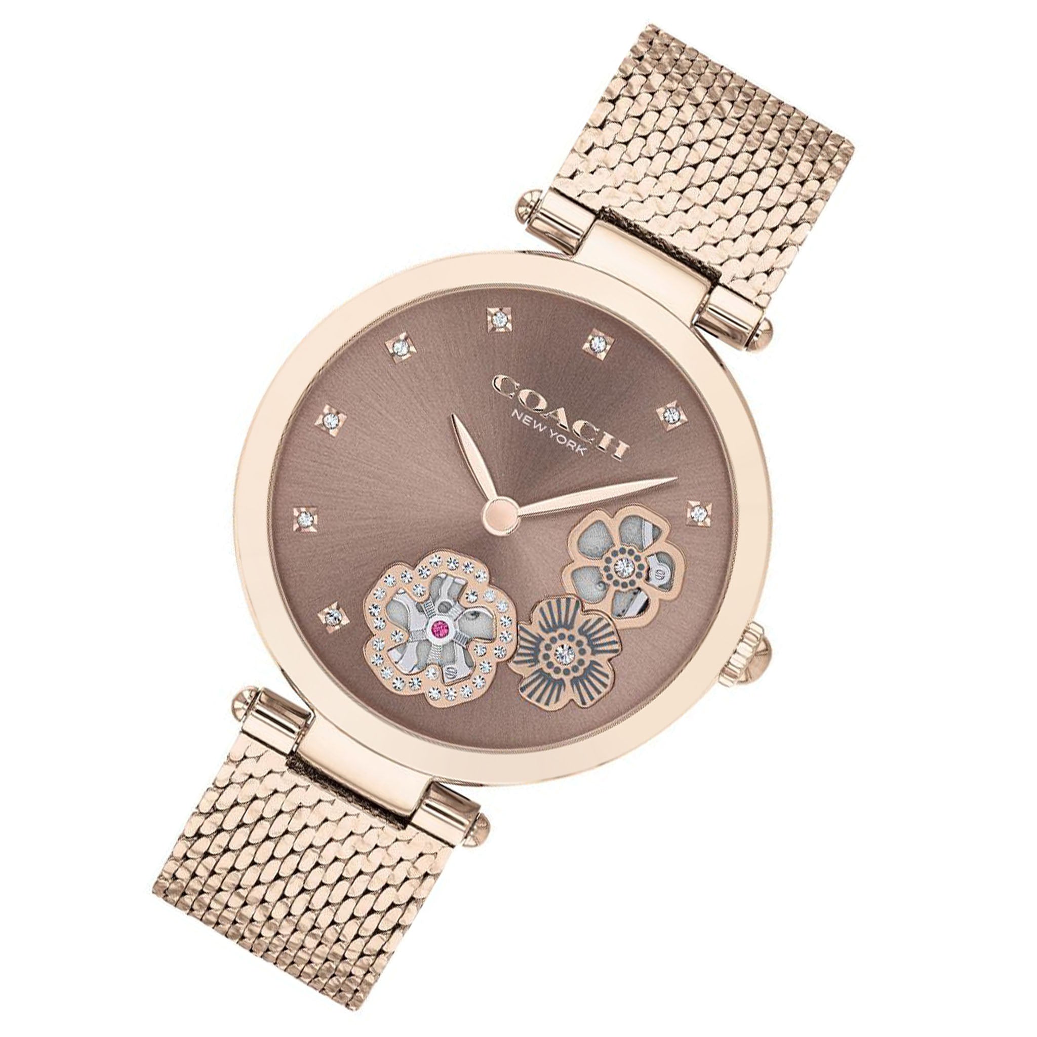 Coach Park Carnation Gold Mesh Ladies Multi-function Watch - 14503566