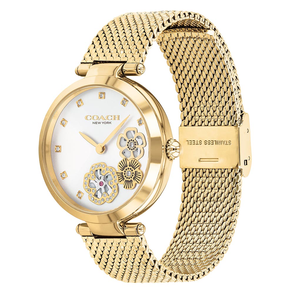 Coach Park Gold Steel Ladies Multi-function Watch - 14503568
