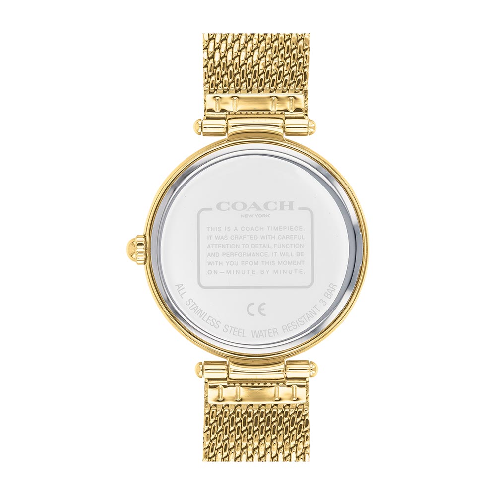 Coach Park Gold Steel Ladies Multi-function Watch - 14503568