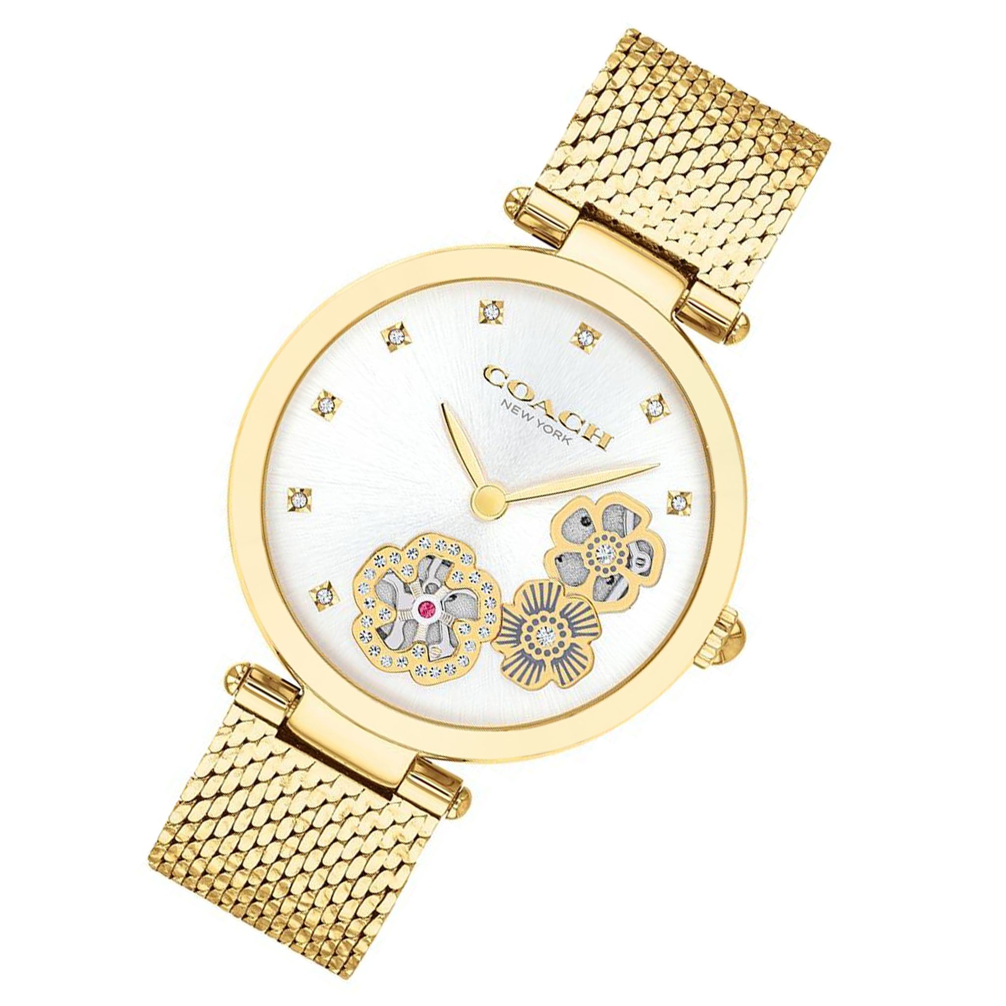 Coach Park Gold Steel Ladies Multi-function Watch - 14503568