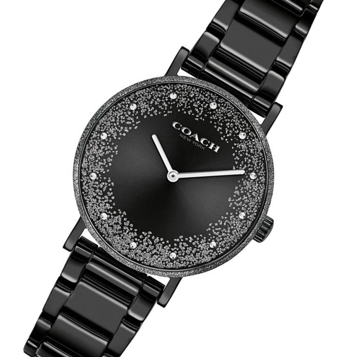Coach Perry Black Steel Women's Watch - 14503641