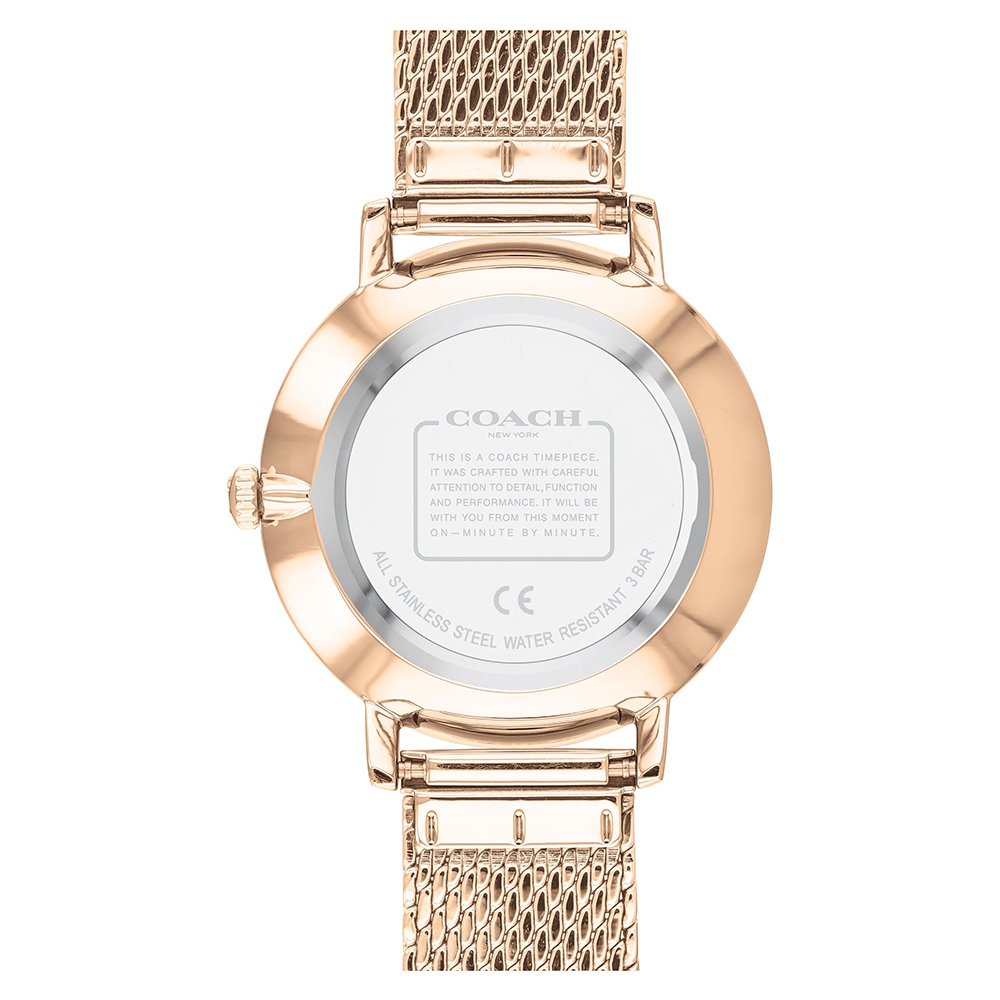 Coach Audrey Carnation Gold Mesh Women's Slim Watch - 14503827