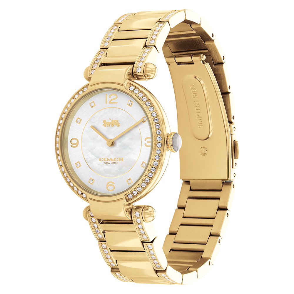 Coach Cary Gold Steel with Crystals Silver Dial Women's Watch - 14503832