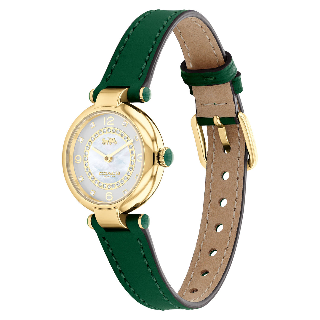 Coach Cary Green Leather Silver Mother of Pearl Dial Women's Watch - 14503894