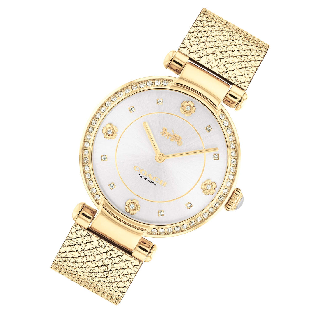 Coach Gold Mesh Silver White Dial Women's Watch - 14503997