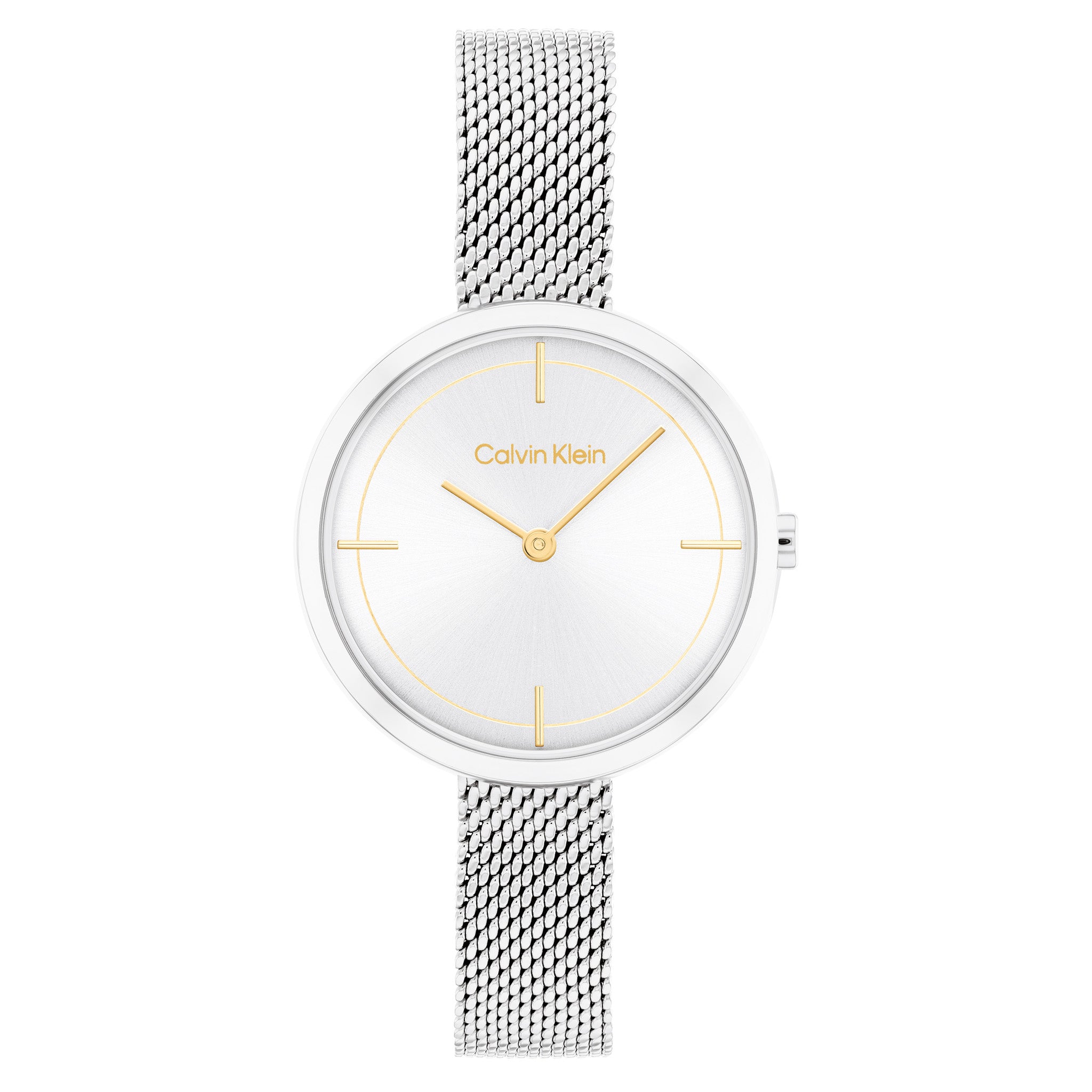 Calvin Klein Steel Mesh Silver White Dial Women's Watch - 25200184