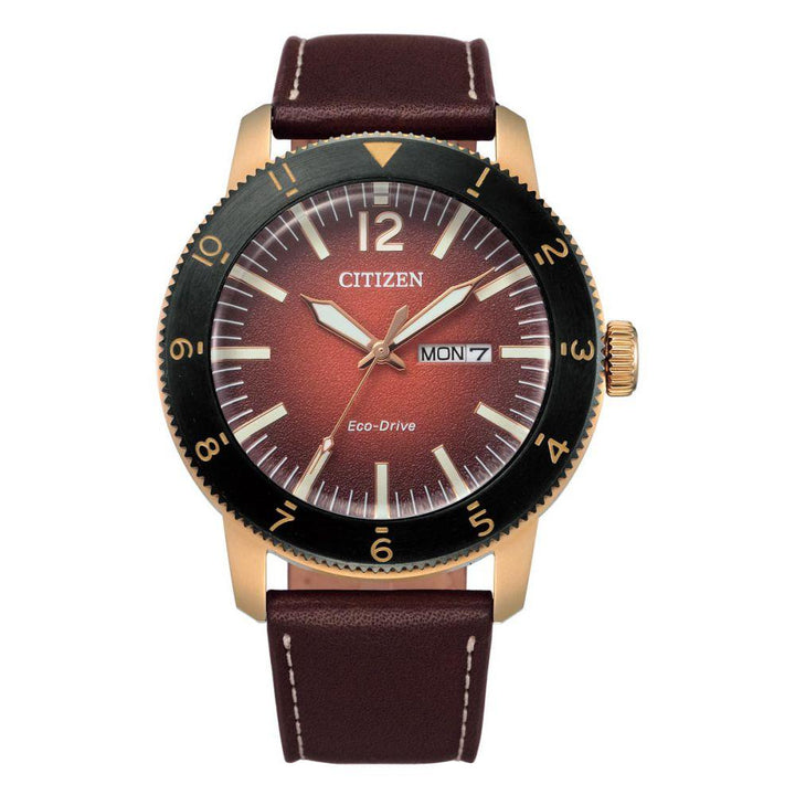 Citizen Brown Leather Men's Solar Watch - AW0079-13X