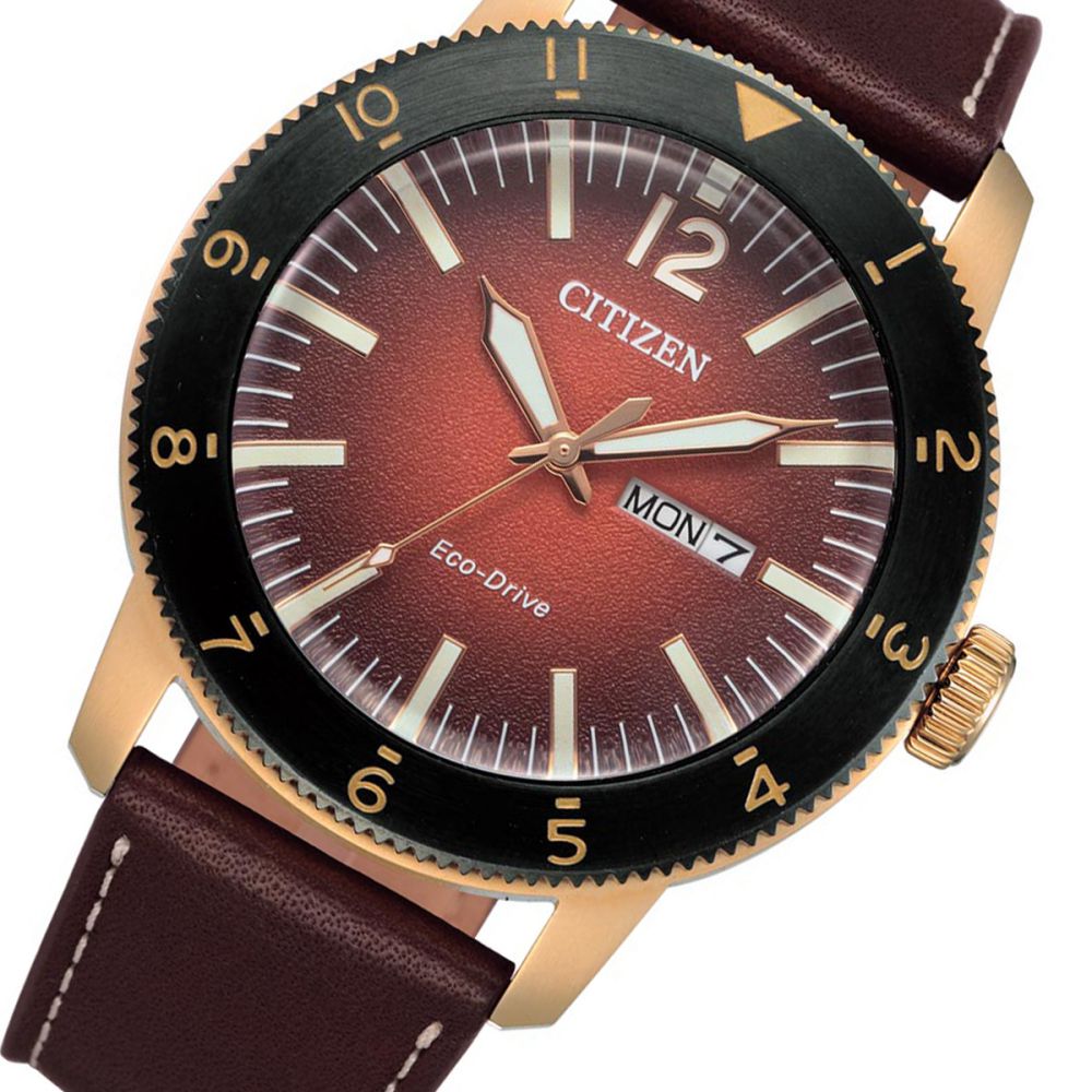 Citizen Brown Leather Men's Solar Watch - AW0079-13X