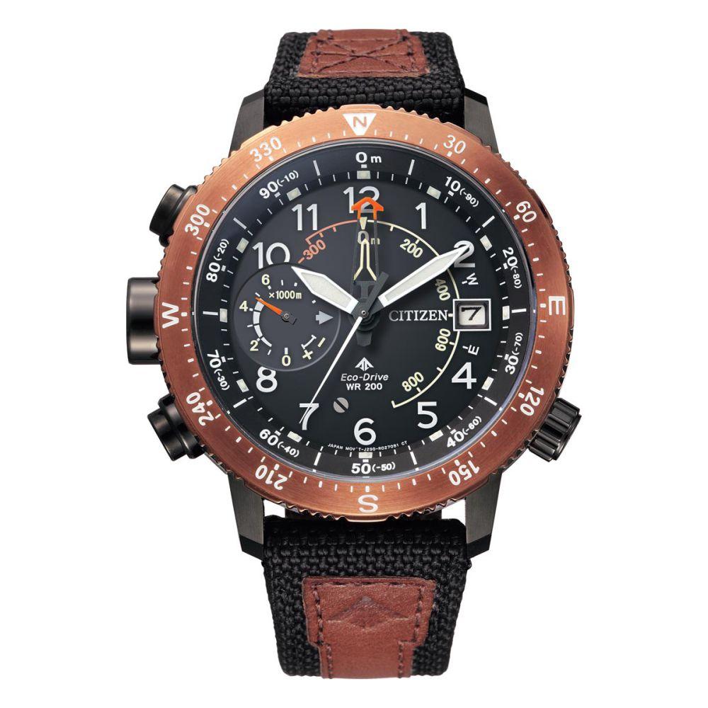 Citizen Brown & Black Leather Men's Solar Watch - BN4049-11E
